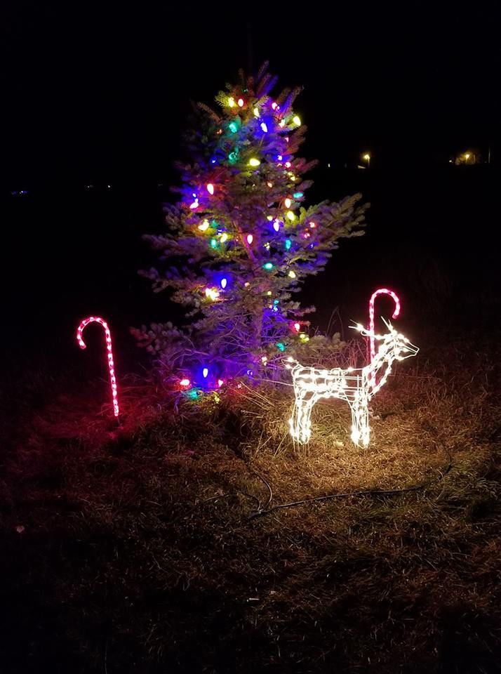 Merry Christmas!